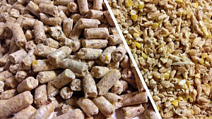 Kachny, husy výkrm 2 - sypká 10 kg